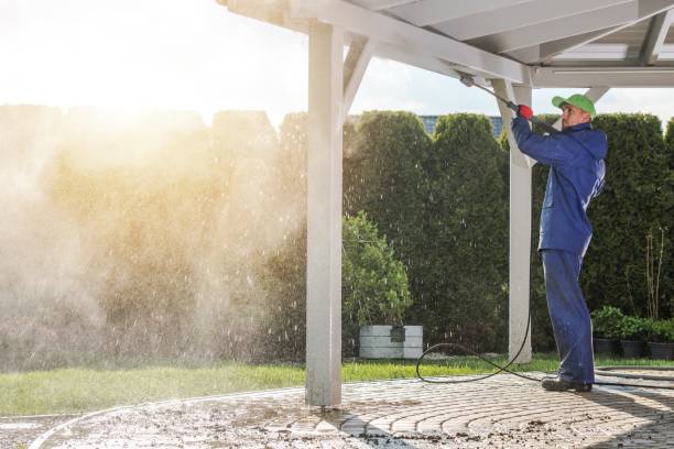 Best Sidewalk and Walkway Cleaning  in Springfield, CO