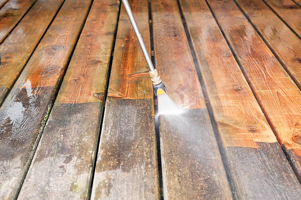 Best Animal Enclosure Cleaning  in Springfield, CO
